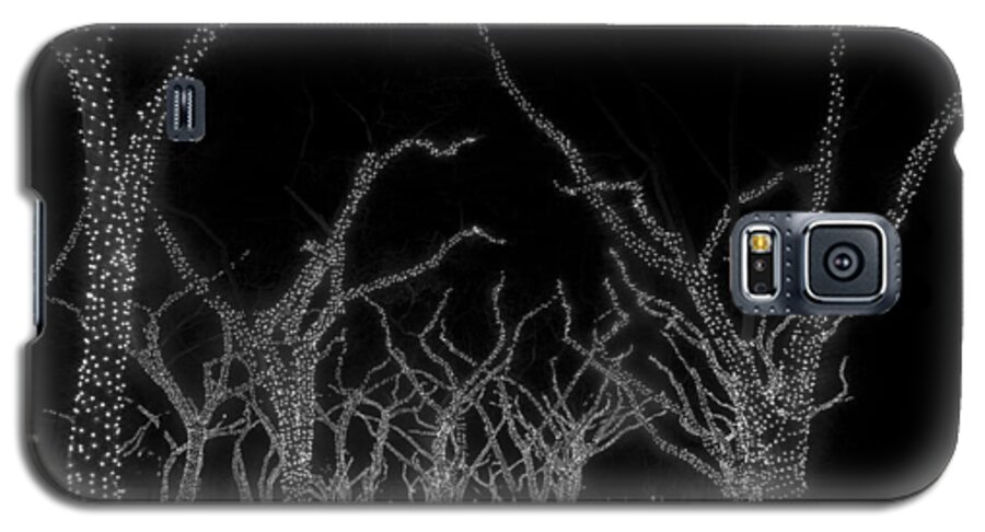 Lighted Trees Galaxy S5 Case featuring the photograph Trees Bejeweled by Jim Snyder