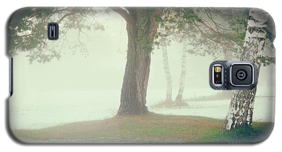 Atmospheric Galaxy S5 Case featuring the photograph Trees in fog by Silvia Ganora