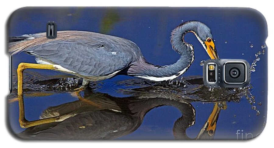 Bird Galaxy S5 Case featuring the photograph Tri Color Heron splash by Larry Nieland