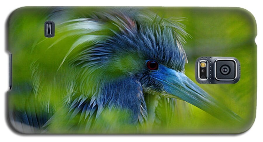 Green Galaxy S5 Case featuring the photograph Tri-colored Heron Concealed by John F Tsumas