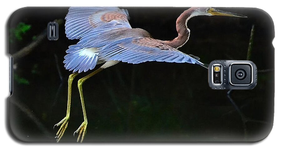 Tricolored Heron Galaxy S5 Case featuring the photograph Tricolored Heron by Charlotte Schafer