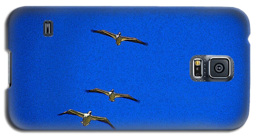 Flying Galaxy S5 Case featuring the photograph Trio by Tom DiFrancesca