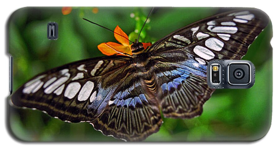 Butterfly Galaxy S5 Case featuring the photograph Tropical Butterfly by Marie Hicks