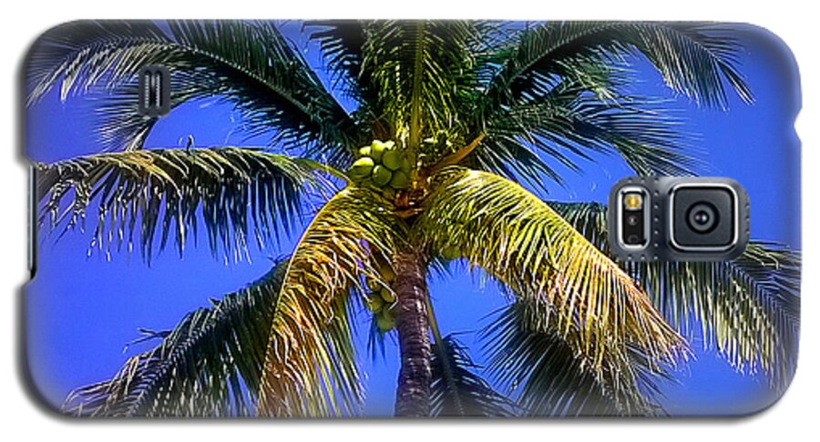 Duane Mccullough Galaxy S5 Case featuring the photograph Tropical Palm Trees 8 by Duane McCullough