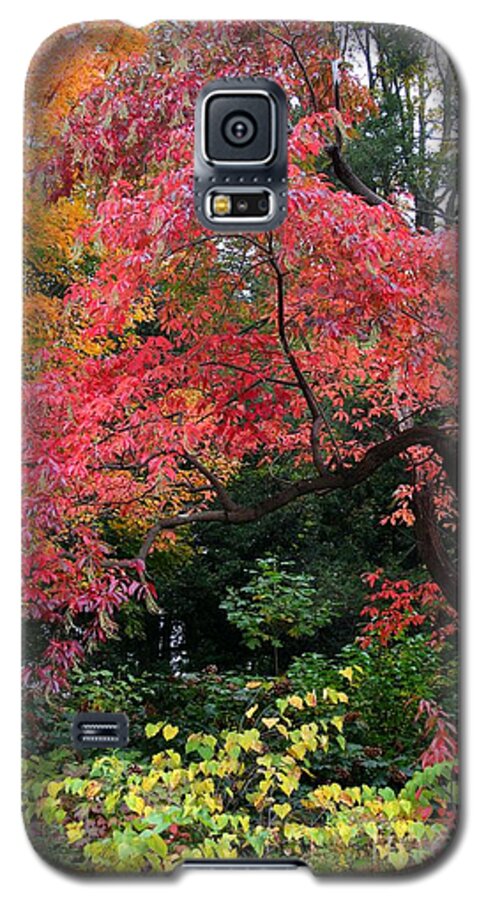 Autumn Galaxy S5 Case featuring the photograph True Colors by Geri Glavis