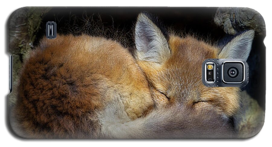 Red Fox Galaxy S5 Case featuring the photograph Fox Kit - Trust by John Vose
