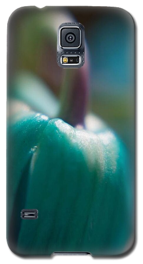Tulip Galaxy S5 Case featuring the photograph Tulip Bud by Natalie Rotman Cote
