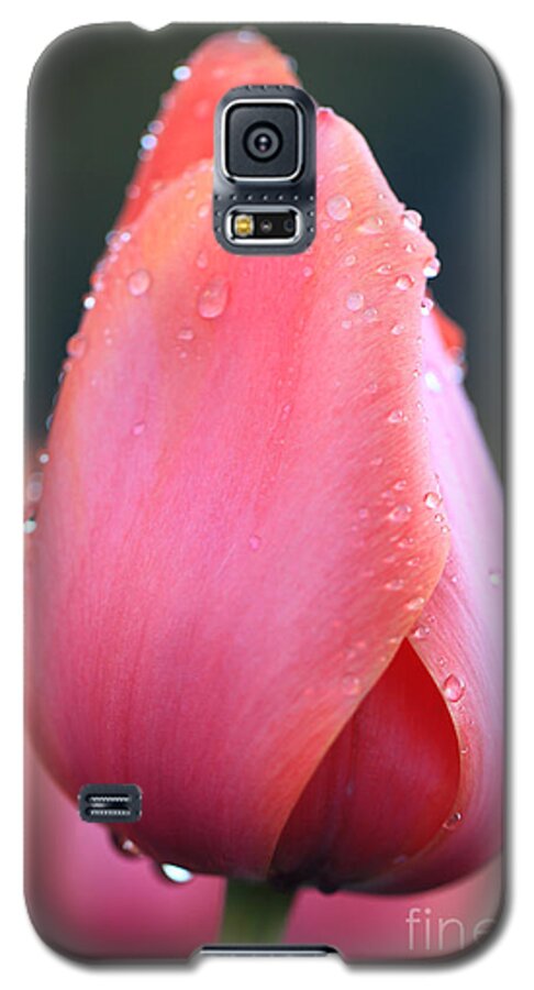  Websites: Jeanette-french.artistwebsites.com And Jeanette-french.pixels.com. Galaxy S5 Case featuring the photograph Tulip Darling by Jeanette French