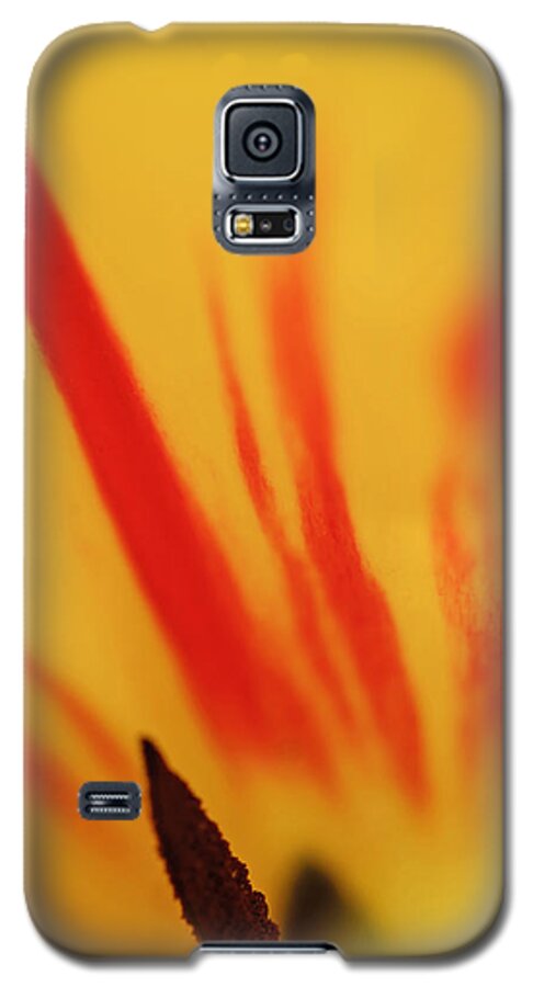 Flower Galaxy S5 Case featuring the photograph Tulip by Robert Mitchell