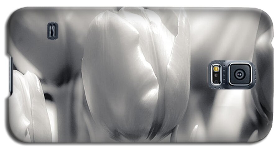 Silver Galaxy S5 Case featuring the photograph Tulip Two by Craig Perry-Ollila