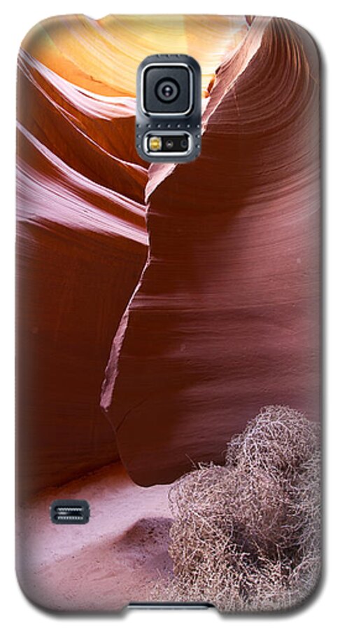Nature Galaxy S5 Case featuring the photograph Tumbleweed in the canyon by Bryan Keil