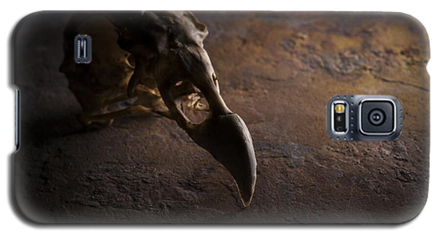 Vulture Galaxy S5 Case featuring the photograph Turkey Vulture Skull on Slate by Art Whitton