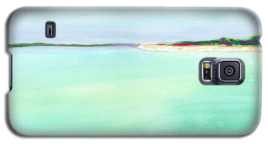 Ocean Scene Galaxy S5 Case featuring the painting Turquoise Caribbean Beach Horizontal by Robyn Saunders