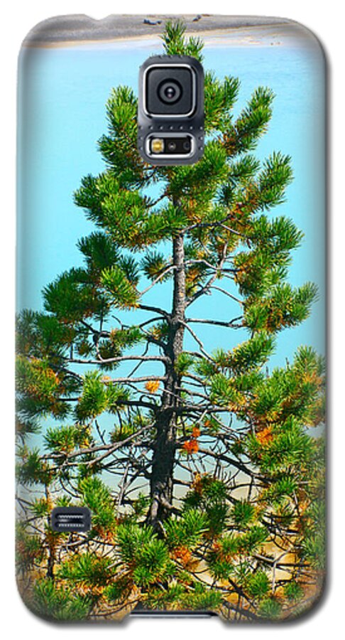  Galaxy S5 Case featuring the photograph Turquoise Tree by Jon Emery