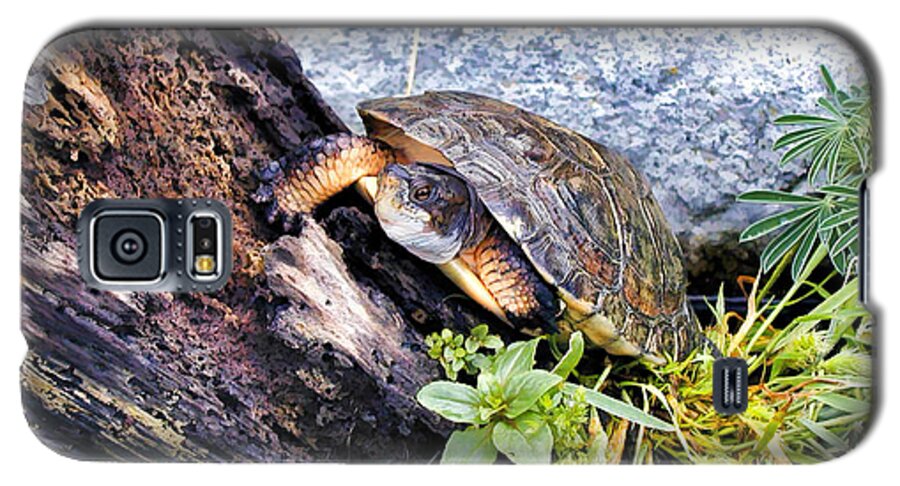 Turtle Galaxy S5 Case featuring the photograph Turtle 1 by Dawn Eshelman
