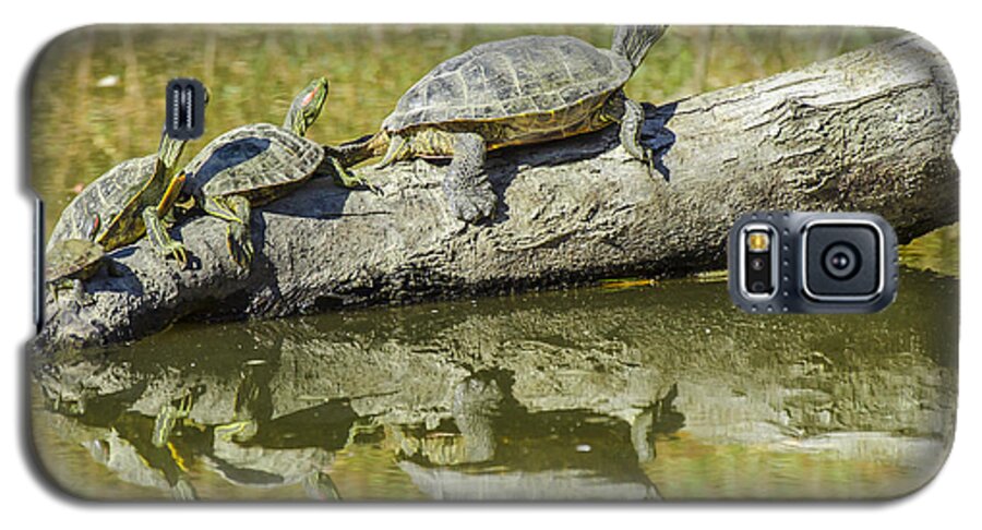 Bradley Clay Galaxy S5 Case featuring the photograph Turtle Reflections by Bradley Clay