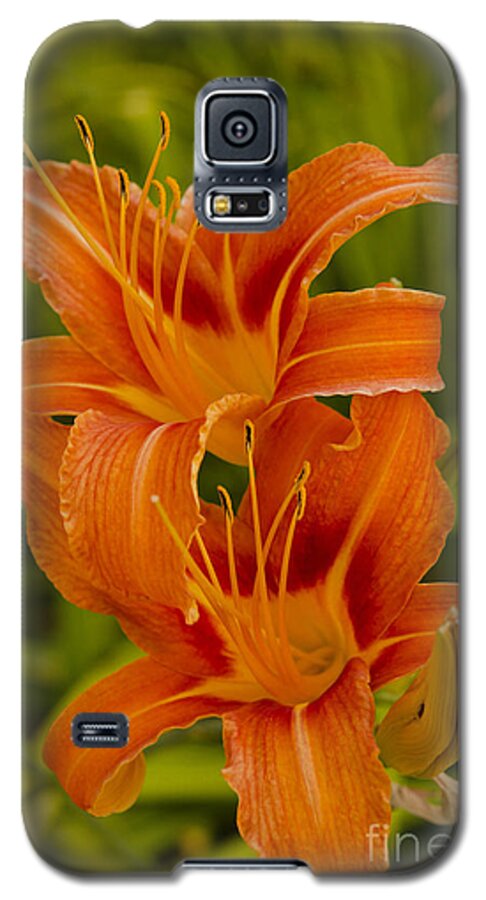 Lily Galaxy S5 Case featuring the photograph Twin Orange Trumpet Lilies by Mary Jane Armstrong