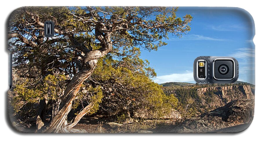 Rock Galaxy S5 Case featuring the photograph Twisted Existence by Eric Rundle