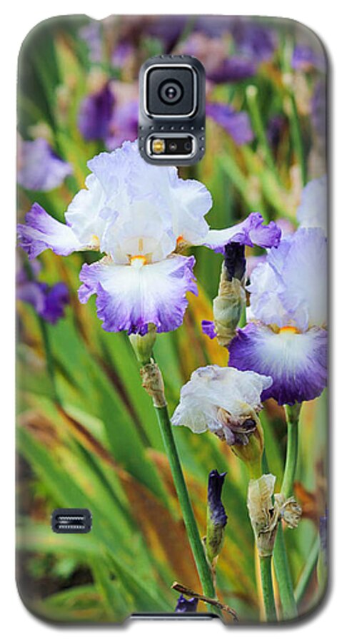 Iris Galaxy S5 Case featuring the photograph Two Iris by Patricia Babbitt