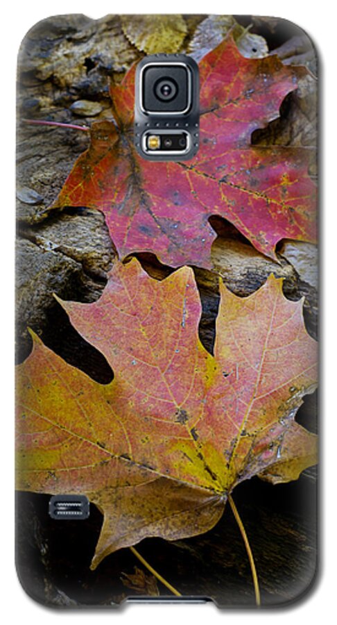 Autumn Galaxy S5 Case featuring the photograph Two Leaves by Larry Bohlin