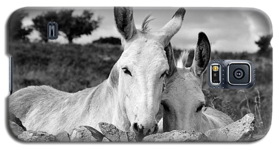 Donkey Galaxy S5 Case featuring the photograph Two white Irish donkeys by RicardMN Photography