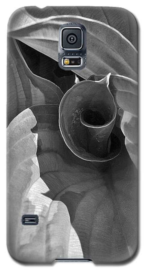 Hosta Galaxy S5 Case featuring the photograph Uncoiling Hostas by Kathi Mirto