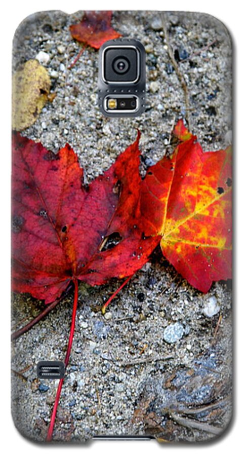 Autumn Galaxy S5 Case featuring the photograph Underfoot by Mary Sullivan