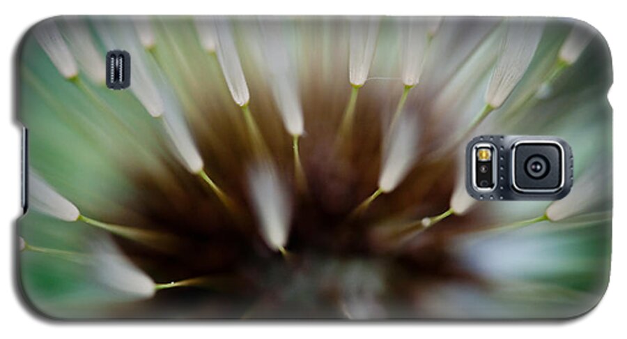 Dandelion Galaxy S5 Case featuring the photograph Undersea Dream by Shane Holsclaw