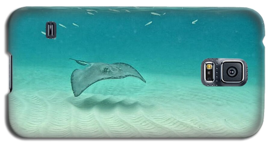 Stingray Galaxy S5 Case featuring the photograph Underwater Flight by Peggy Hughes
