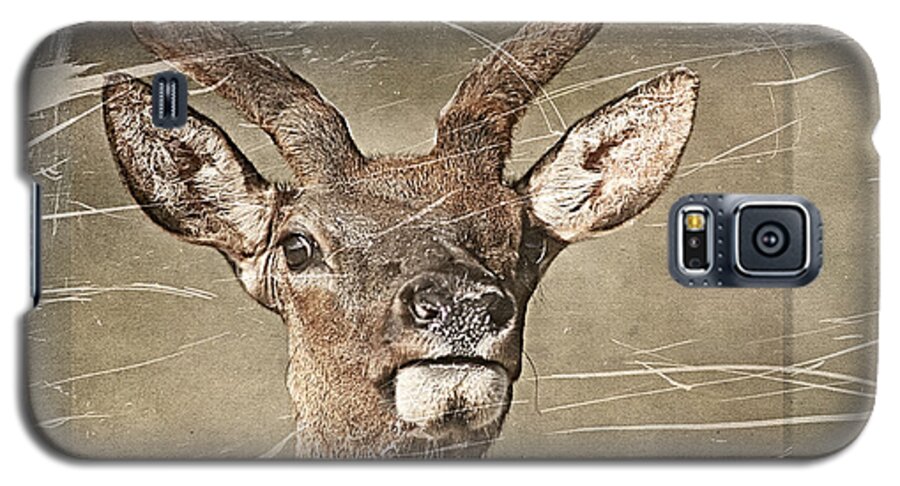 Deer Galaxy S5 Case featuring the photograph Up Close and Personal by Teresa Zieba