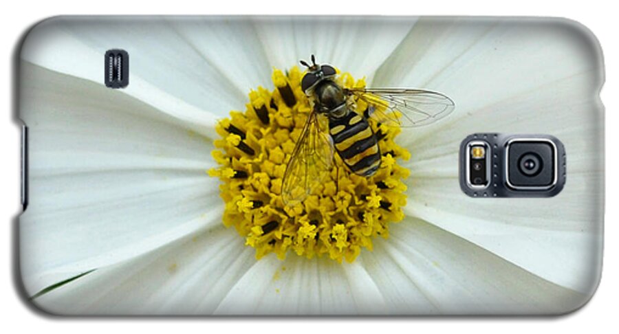 Bee Galaxy S5 Case featuring the photograph Up Close with the Bee and the Cosmo by Verana Stark