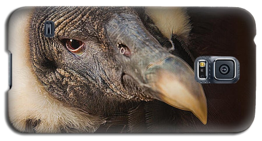 Vulture Photographs Galaxy S5 Case featuring the digital art Vallerie by David Davies