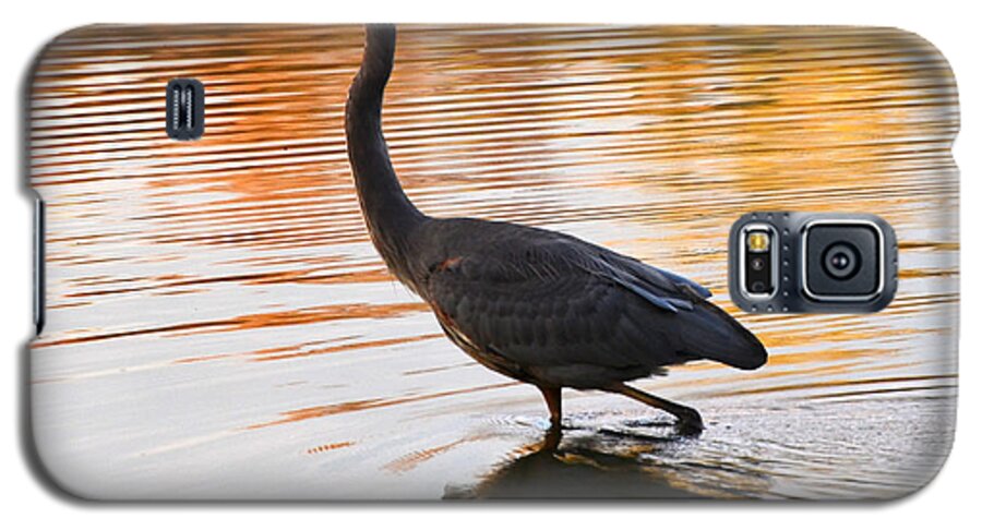 Blue Heron Galaxy S5 Case featuring the photograph Wading For You by Judy Wolinsky