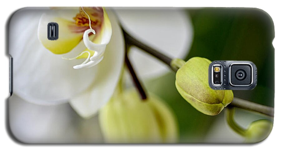 Orchid Galaxy S5 Case featuring the photograph Waiting to Bloom by Julie Palencia