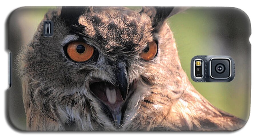 Eagle Owl Galaxy S5 Case featuring the photograph Wake Up by Leticia Latocki