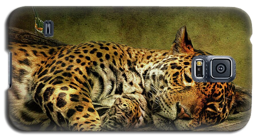 Leopard Galaxy S5 Case featuring the photograph Wake Up Sleepyhead by Lois Bryan