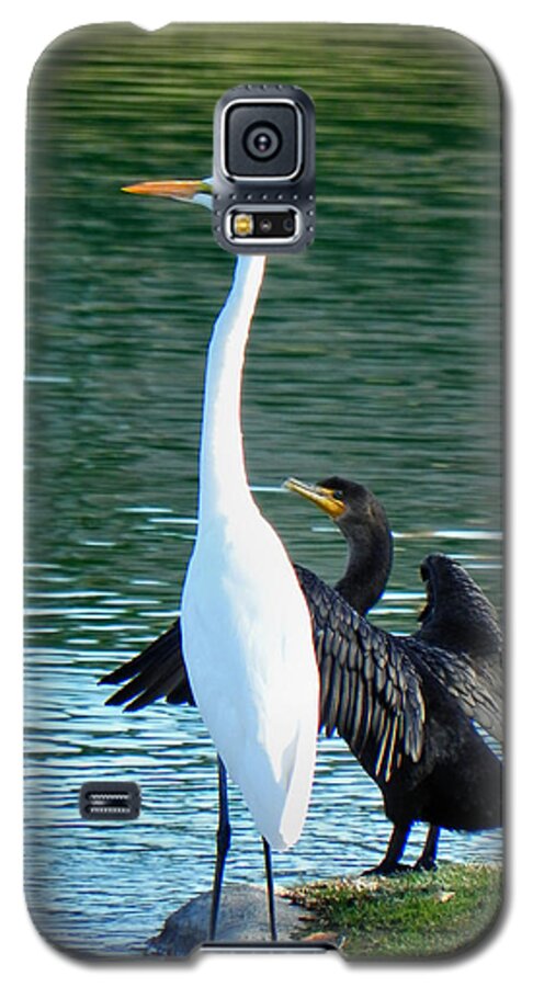 Heron Galaxy S5 Case featuring the photograph Watch This by Deb Halloran
