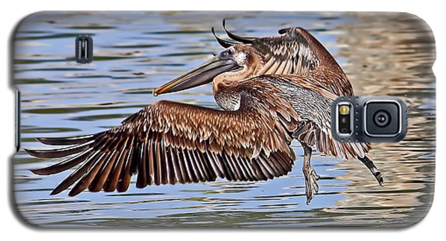 Brown Pelican Galaxy S5 Case featuring the photograph Water Ballet - Brown Pelican by HH Photography of Florida