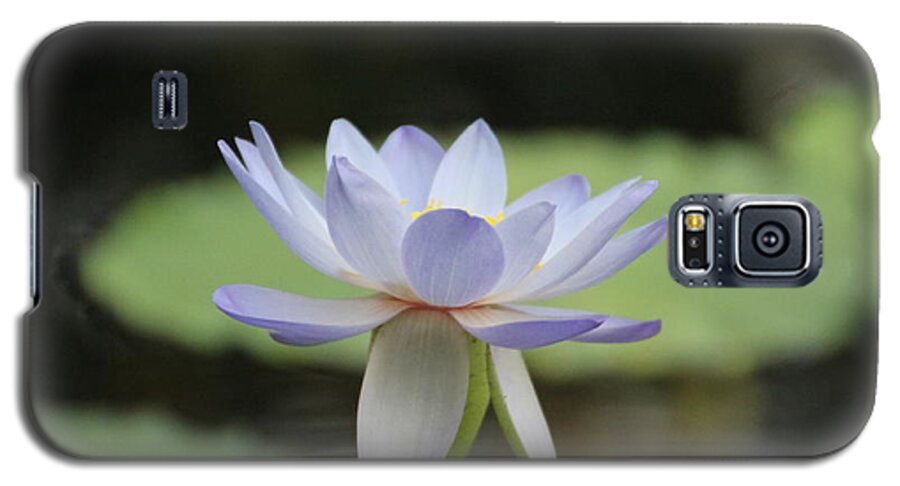 Water Lily Galaxy S5 Case featuring the photograph Water Lily by Lynn England
