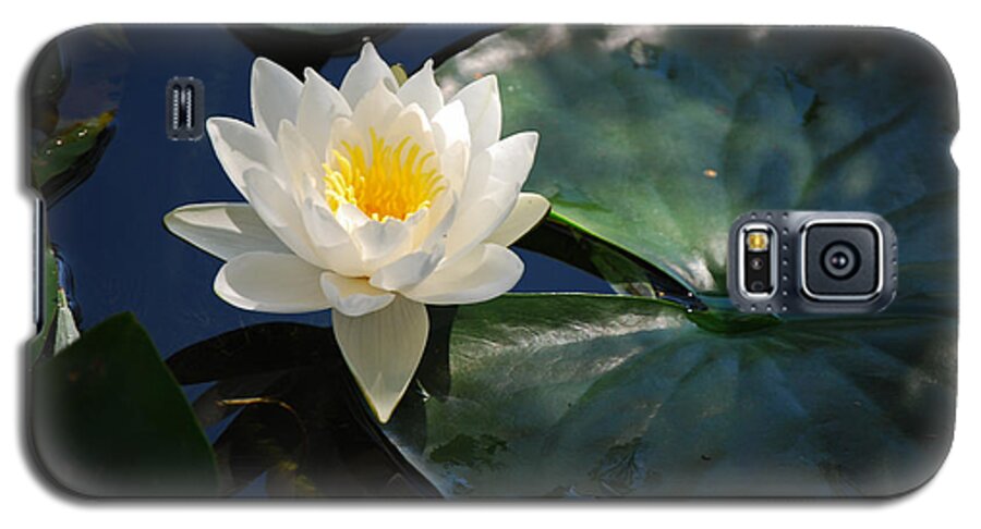 Waterlily Galaxy S5 Case featuring the photograph Waterlily by Janis Knight
