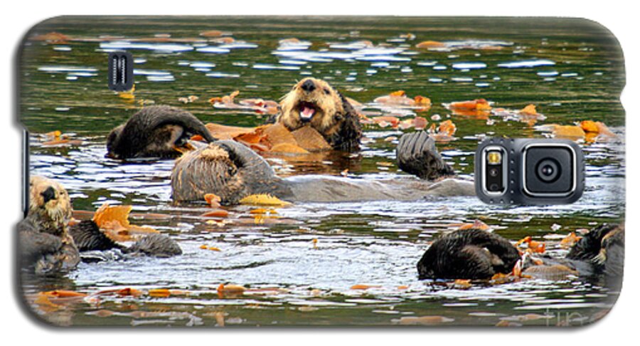 Wildlife Galaxy S5 Case featuring the photograph We otter be in pictures by Bob Hislop