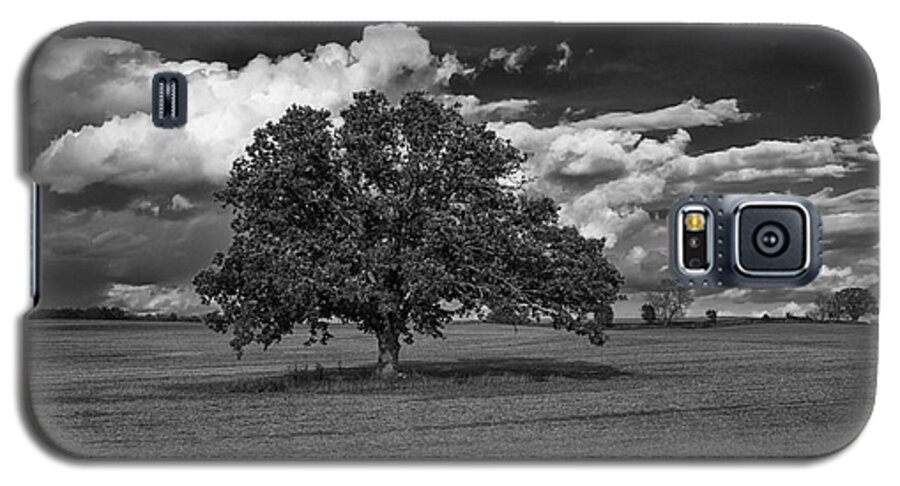Flickr Explore Galaxy S5 Case featuring the photograph Weathered Oak by Dan Hefle