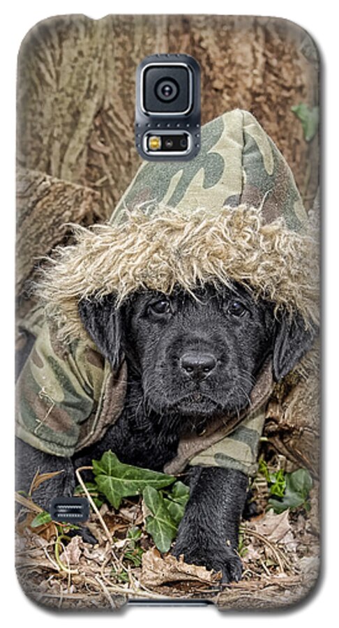 Labrador Retriever Galaxy S5 Case featuring the photograph Wee hunter by Sami Martin