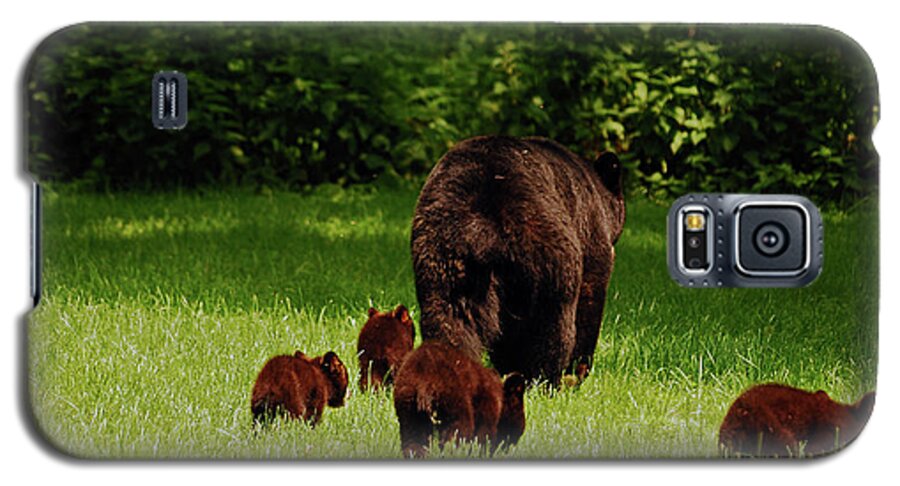Bears Galaxy S5 Case featuring the photograph We'll Be Back by Lori Tambakis