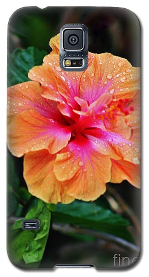 Wet Hibiscus Galaxy S5 Case featuring the photograph Wet and Wonderful by Craig Wood