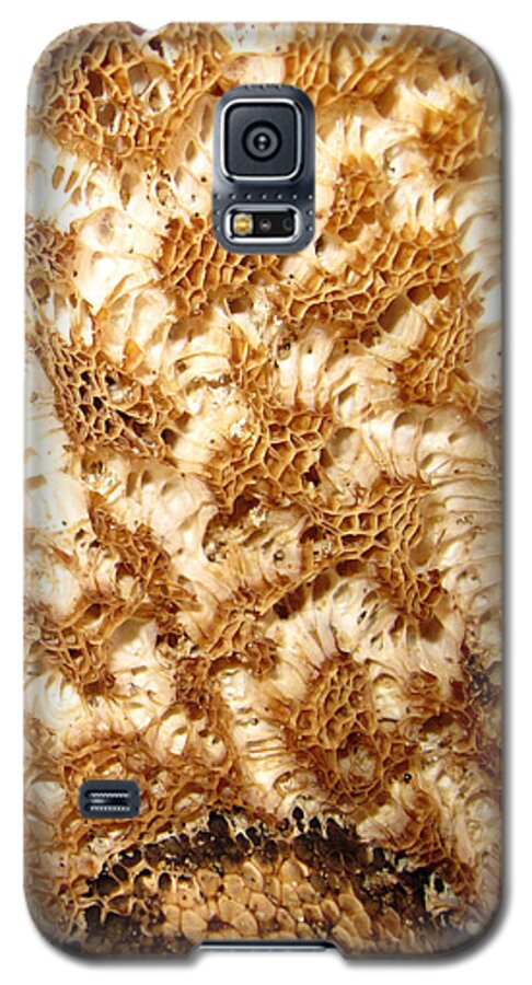 Fungus Galaxy S5 Case featuring the photograph What a Fungus by Mary Bedy