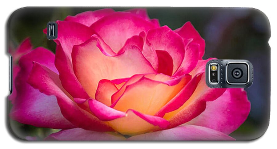 Rose Galaxy S5 Case featuring the photograph When it's love by Patricia Babbitt