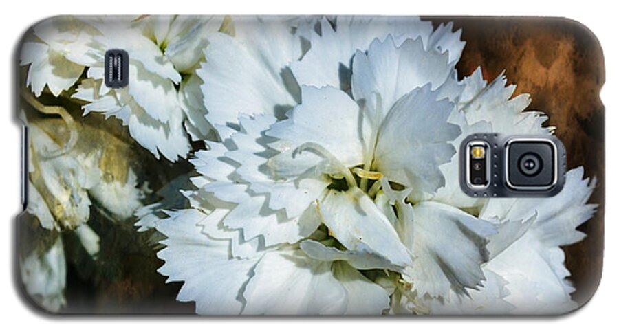 Flower Galaxy S5 Case featuring the photograph White Dianthus by Deena Stoddard