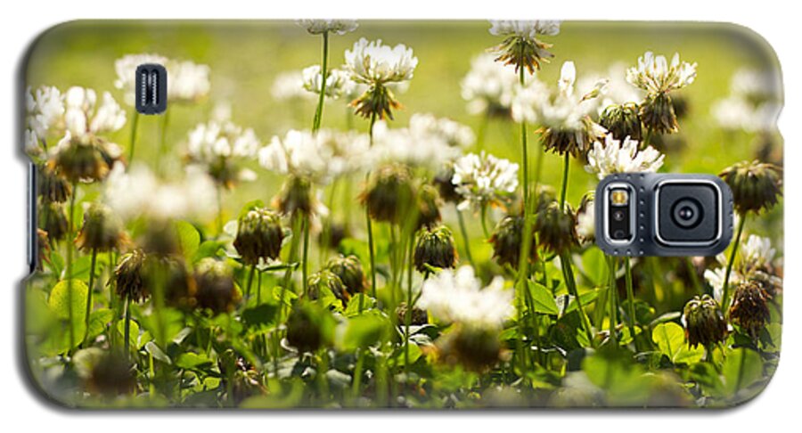 White Clover Galaxy S5 Case featuring the photograph White Dutch Clover Wild Plants in the Sunshine by Beverly Claire Kaiya