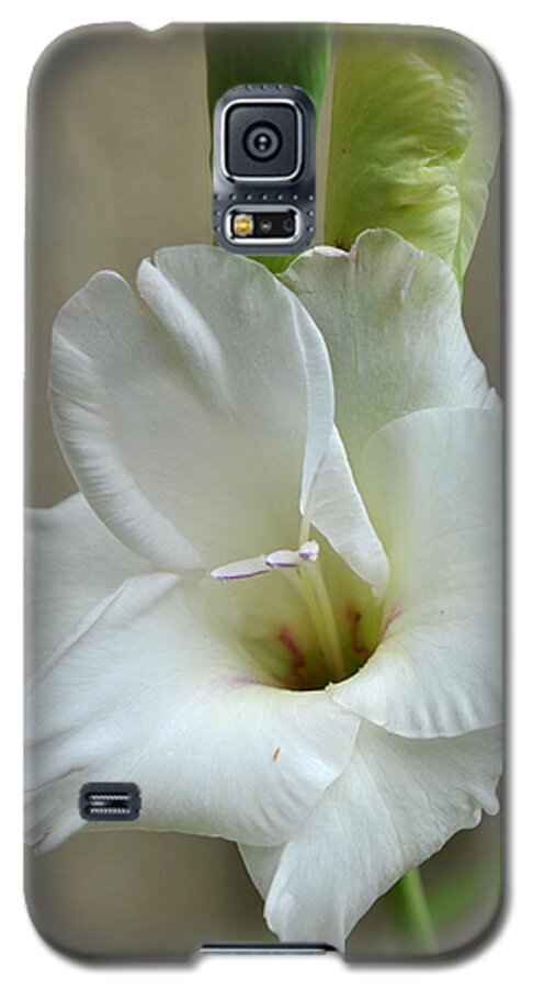 Plant Galaxy S5 Case featuring the photograph White Gladiola Flower by Nathan Abbott